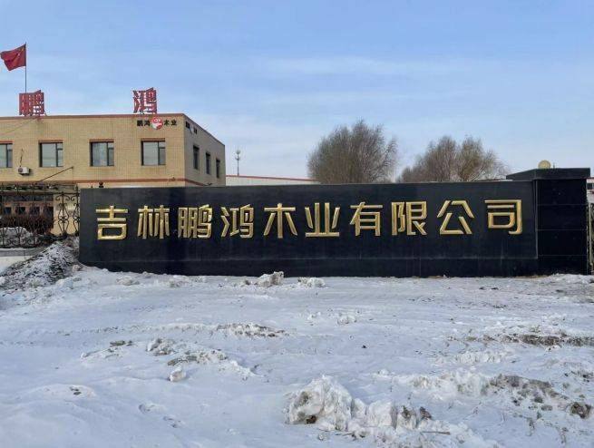 2025衣柜定制品牌排行榜揭晓：环保黑马